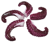 Octopus Tentacles - Pk.5 