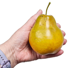 Fake Pear - Yellow 