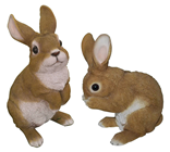 Mr and Mrs Bunny Rabbit 