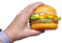 Lifelike Chicken Burger with Salad 