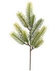 Pine Branch - 36cm 