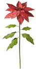 Giant Red Poinsettia 