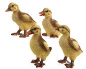 Ducklings - Set of 4 