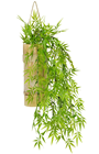 Natural Bamboo Display Pot 