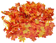 Autunm Leaves & Tendril Selection 