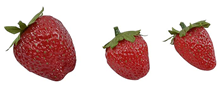 Strawberries - Pk.12 
