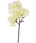 White Cherry Blossom Branch 