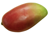 Artificial Mango 