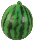 Watermelon - 20 x 24cm 