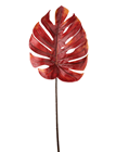 Copper Monstera Deliciosa Leaf 