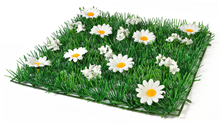 Grass Square with White Daisies 