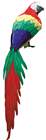 Large Perching Parrot - 120cm 