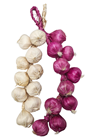 Fake Garlic String 
