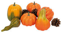 Selection of 6 Pumpkins & Gourds, plus 4 Cones
