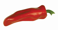 Red Chilli Pepper 