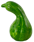 Green Bottle Pumpkin Gourd 