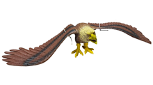 Flying Eagle 