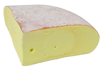 Plastic Mountain Cheese Quarter 