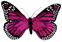 Pink Feather Butterfly - 30cm