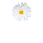 Giant Daisy - 100 x 30cm 