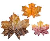 Flexible Autumn Leaves - Pk.118 