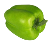 Green Pepper 