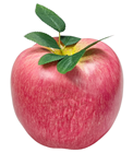 Giant Fake Apple - Slight Second 