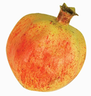 Fake Pomegranate 