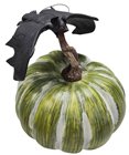 Green & White Pumpkin 