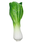Fake Bok Choy Chinese Cabbage 