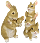 Bunny Rabbit Family 