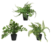 Artificial Ferns in Pots - Set of 3 