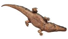 Green Baby Crocodile 