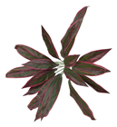 Artificial Dracaena Cordyline Plant 