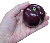 Fake Plum 