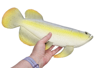 Fake Arowana Fish 