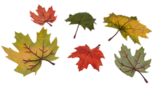 Artificial Autumn Leaves - Pk.72 