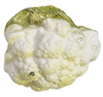 Plastic Cauliflower - Slight Second 