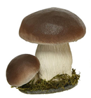 Brown Toadstool Group - 20cm 