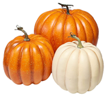 Autumn Cream Pumpkin - 20cm 