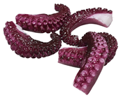 Octopus Tentacles - Pk.5 