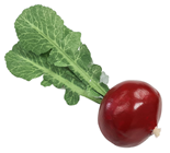 Beetroot 