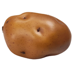 Large Potato 