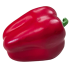 Red Bell Pepper 