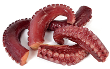 Octopus Tentacles - Pk.5 
