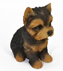 Yorkshire Terrier Pup 