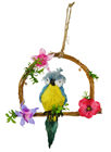 Parrot on Decorative Swing 