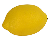 Artificial Lemon 