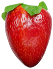 Giant Fake Strawberry 