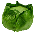 Replica Green Cabbage 